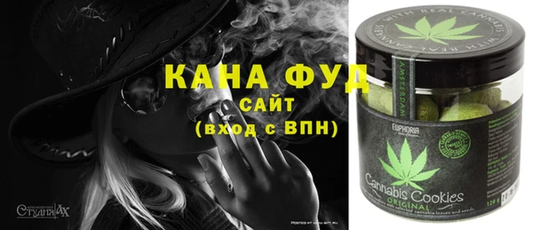индика Аркадак