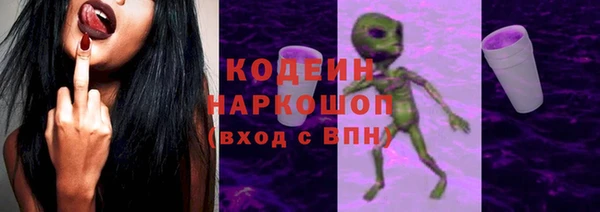 индика Аркадак