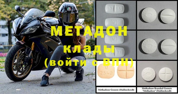 индика Аркадак