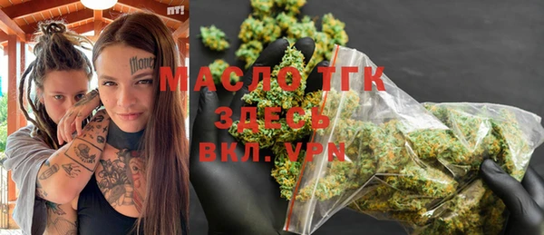 индика Аркадак