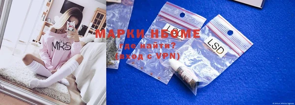 индика Аркадак