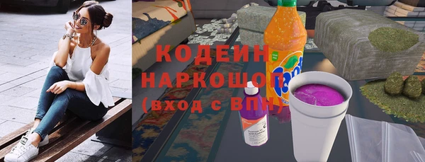 индика Аркадак