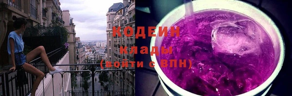 индика Аркадак