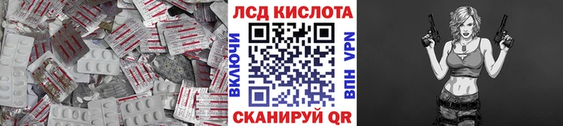 закладка  Рошаль  LSD-25 экстази кислота 