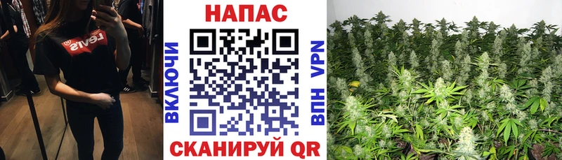 Канабис марихуана  Рошаль 